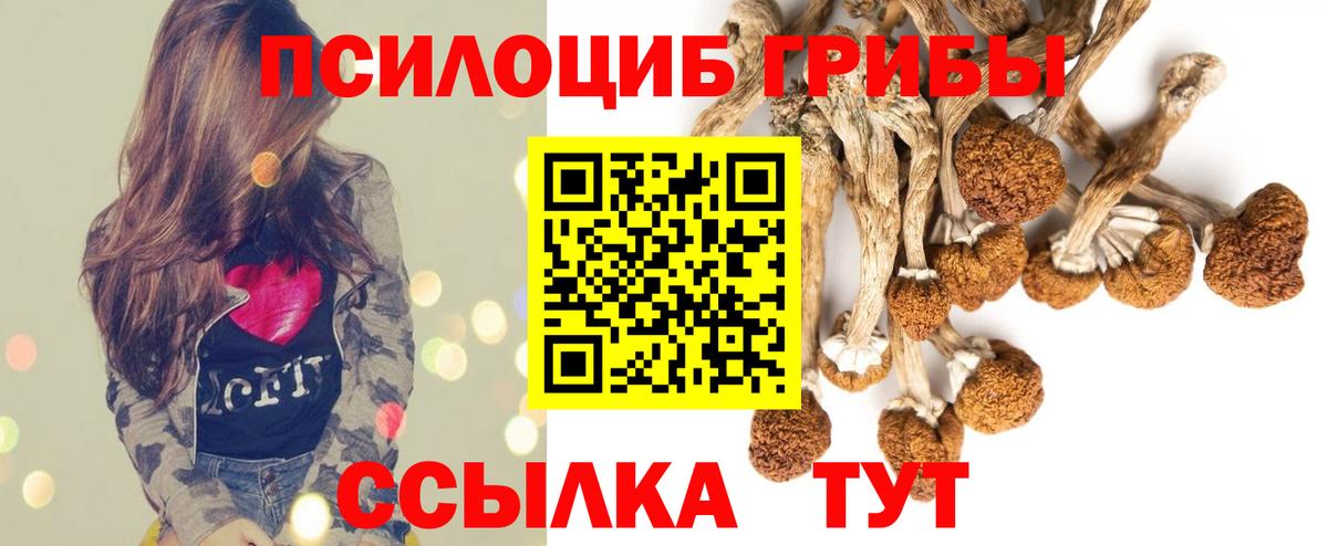 Галлюциногенные грибы Cubensis  Галлюциногенные грибы мухоморы  Вход с VPN  Дзержинск 