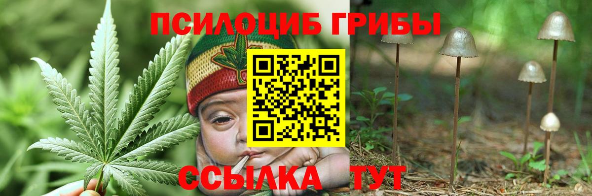 Псилоцибиновые грибы GOLDEN TEACHER Дзержинск